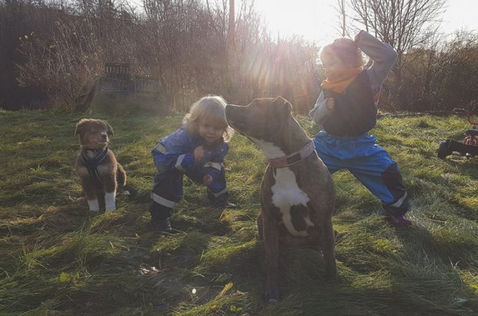 Max, Sebastian och hundarna ute på en gräsmatta