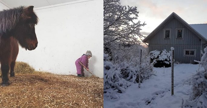 Max hjälper till i stallet och hus i vinterlandskap